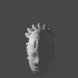 CGAfrica | Gallery Image