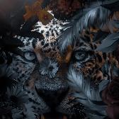 CGAfrica | Gallery Image