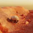CGAfrica | Gallery Image