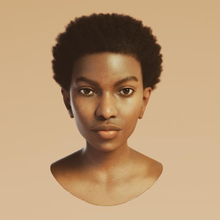CGAfrica | Gallery Image