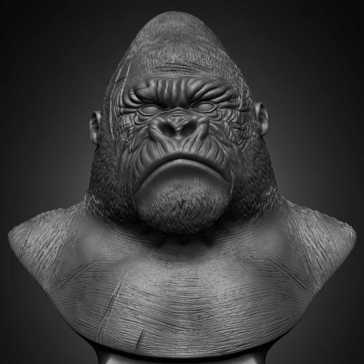 CGAfrica | Gallery Image