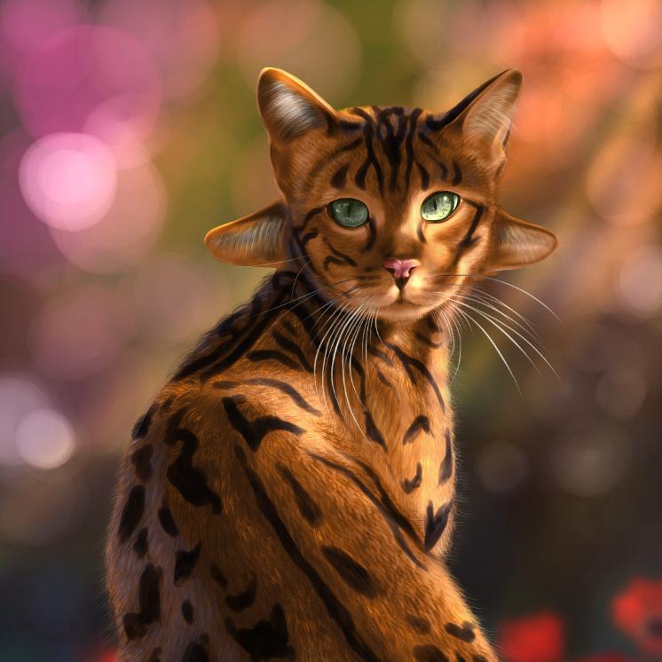 CGAfrica | Gallery Image