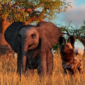 CGAfrica | Gallery Image