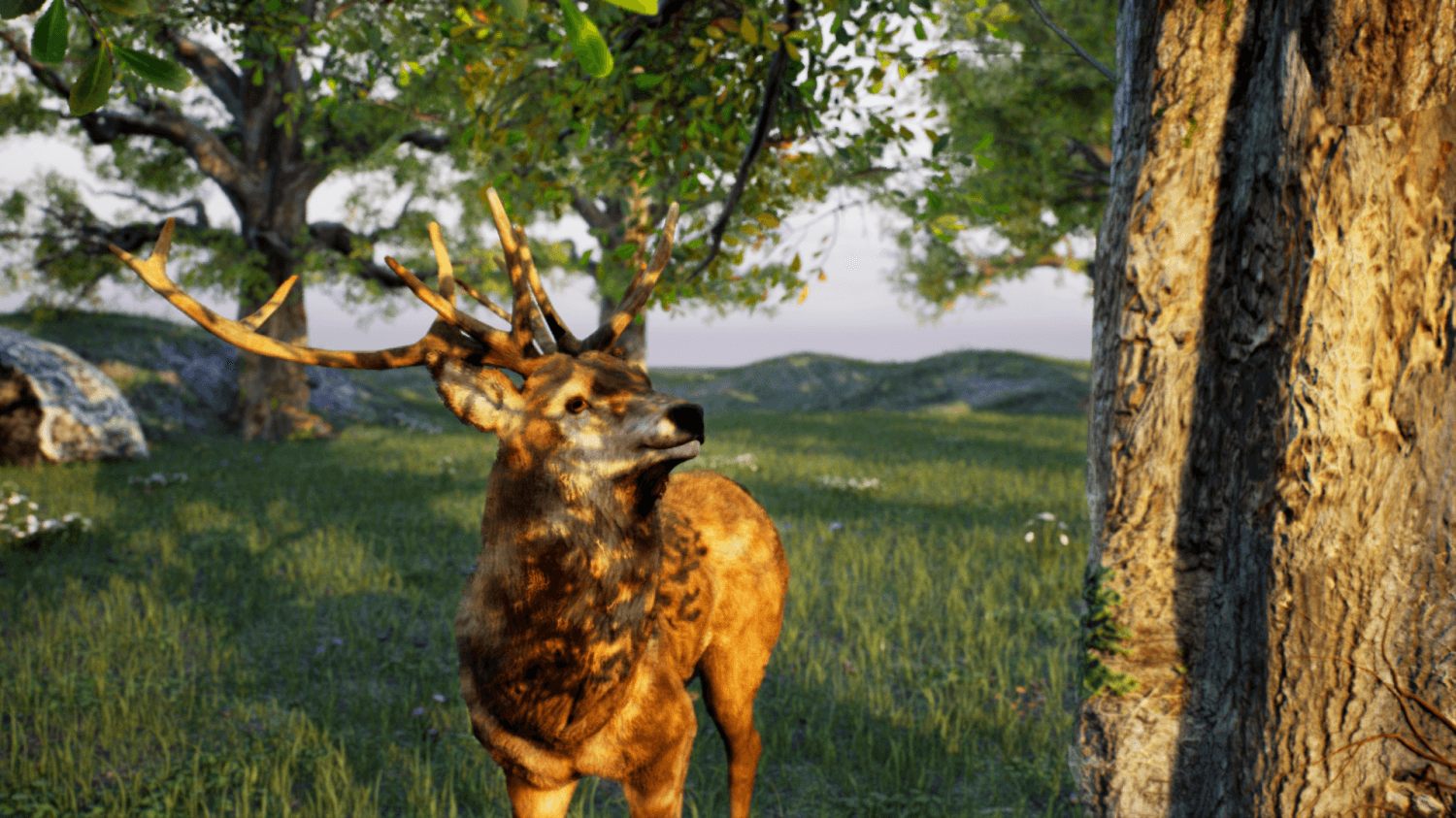 CGAfrica | Gallery Image