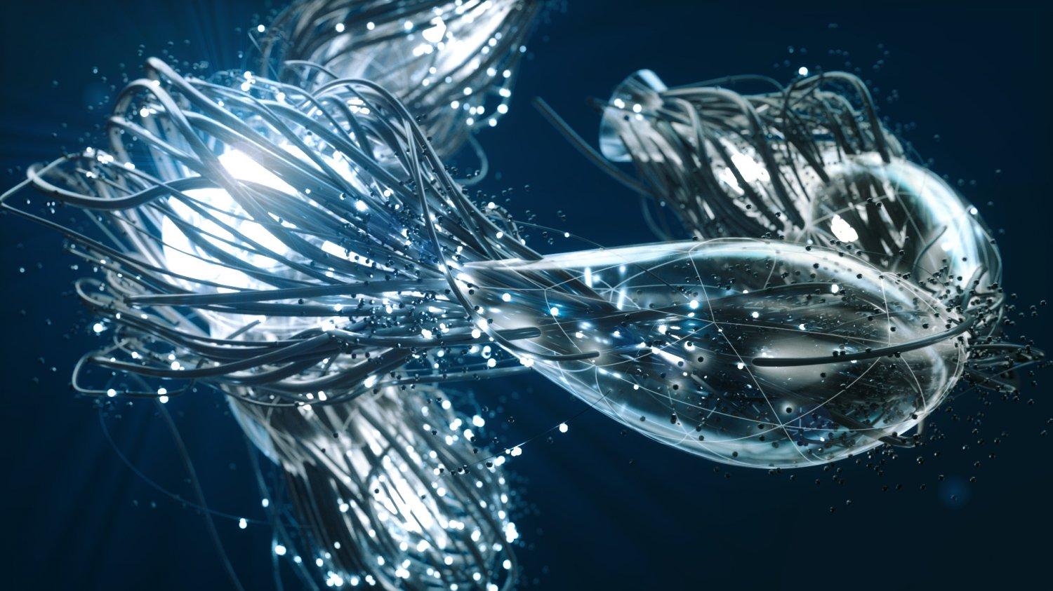 CGAfrica | Gallery Image