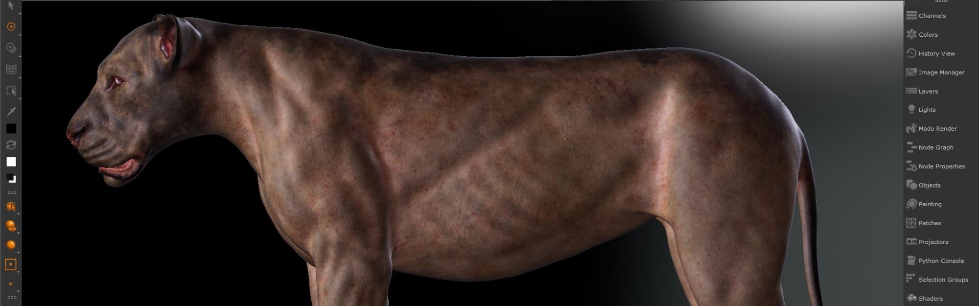 Profile Banner