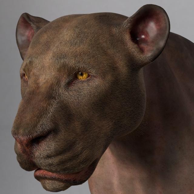 Profile